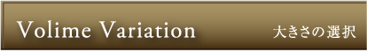 Volime Variation（大きさの選択）