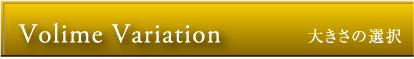 Volime Variation（大きさの選択）