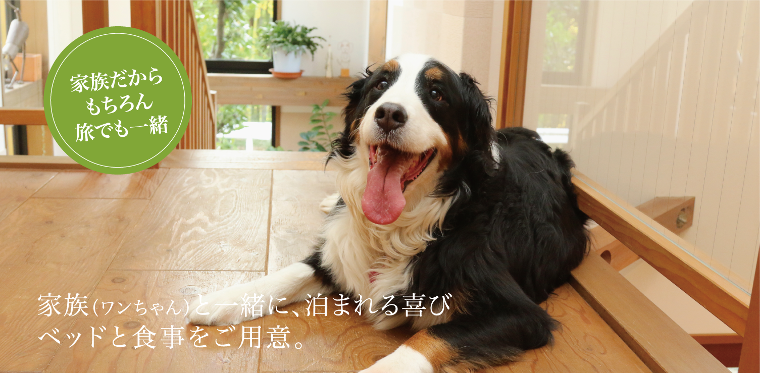 家族（ワンちゃん）と一緒に、泊まれる喜びベッドと食事をご用意。