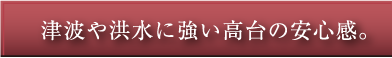 津波や洪水に強い高台の安心感。